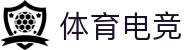 体育电竞平台-专业电竞赛事与体育竞猜资讯